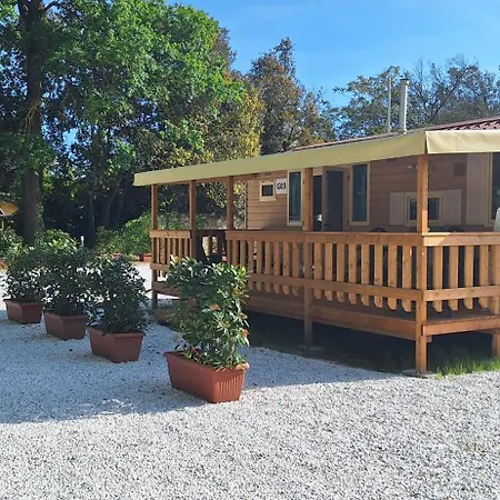 Mobile Comfort - Paradiso - R008