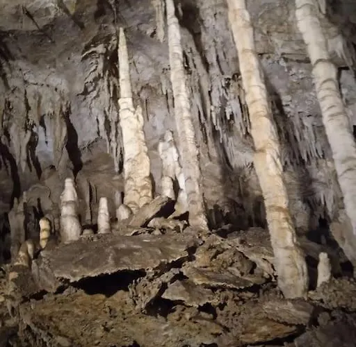 Mobile - Including Airco- Paradiso - G008 Parque de Campismo