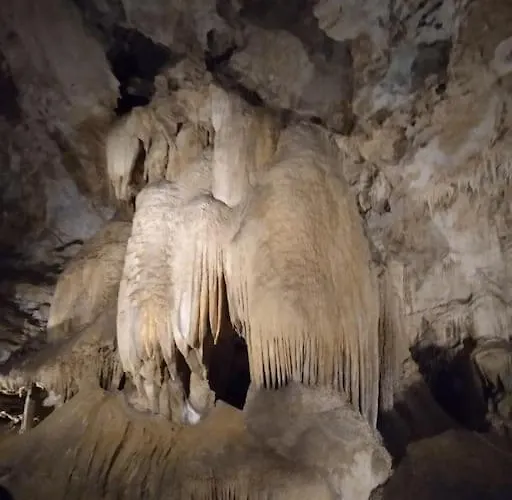 Mobile - Including Airco- Paradiso - G008